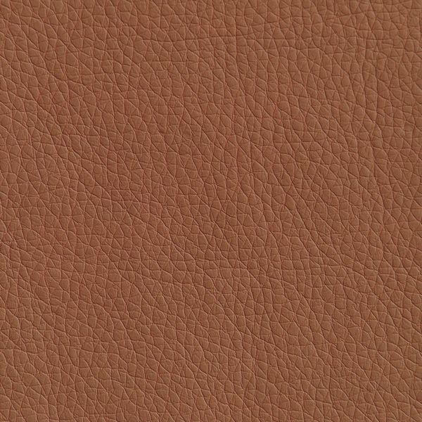 Модуль 2-местный Беллис BEL2 экокожа oregon 07