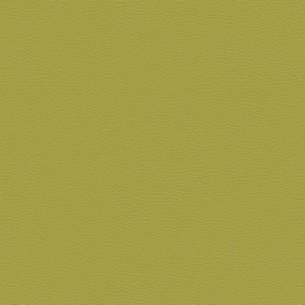 Кресло Берген  экокожа euroline 1131