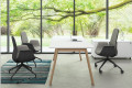 Кабинет руководителя Artwood Executive